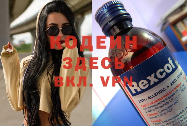 шишки Беломорск