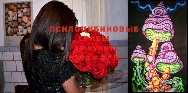 эйфоретик Белокуриха