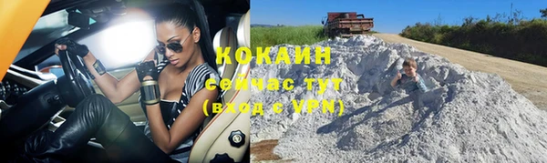 шишки Беломорск