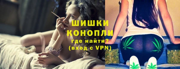 шишки Беломорск